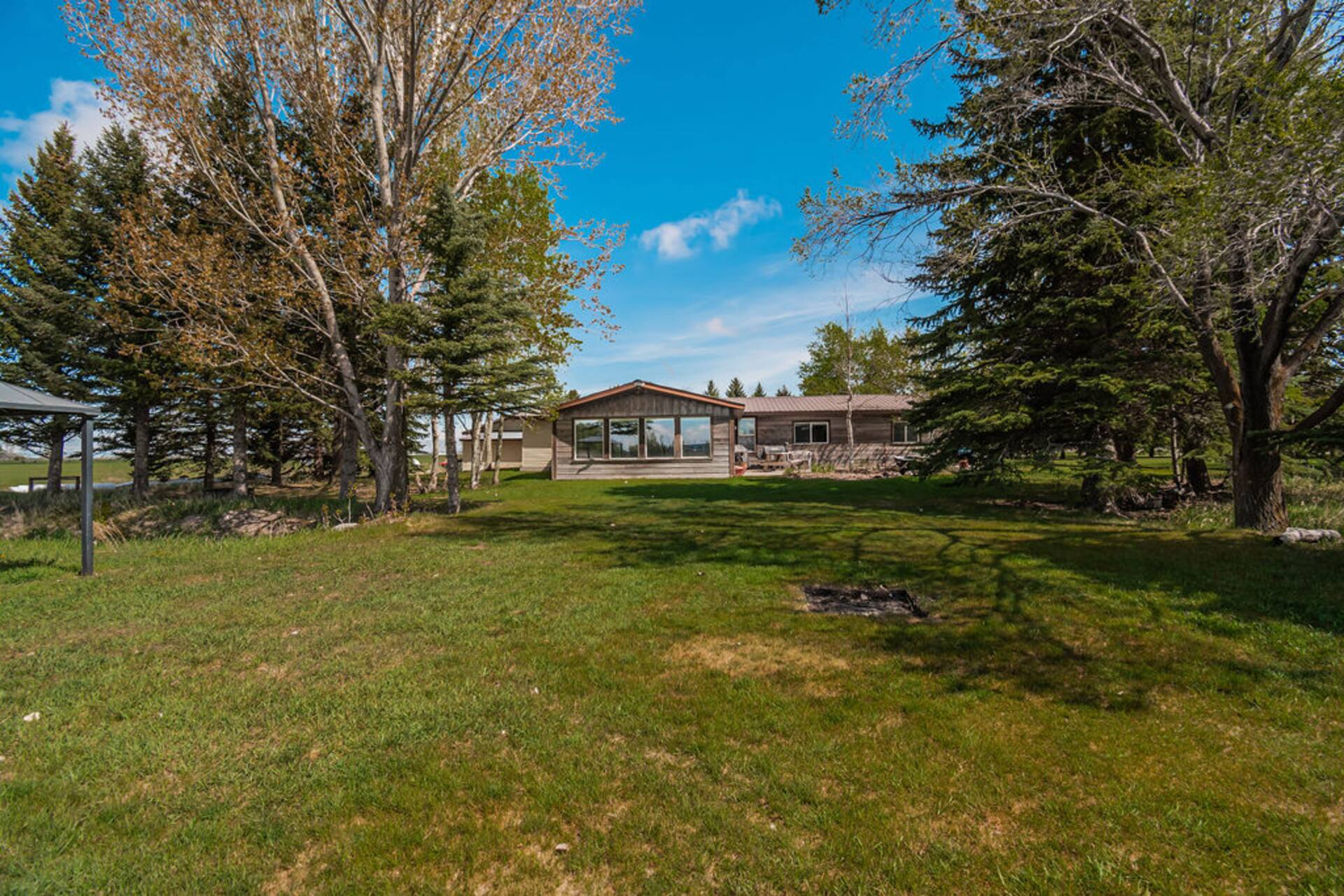 the lawn